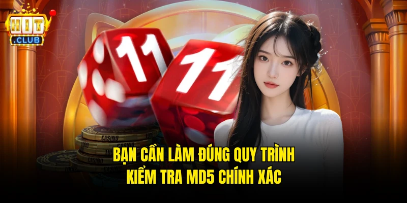 Bạn cần làm đúng quy trình kiểm tra MD5 chính xác