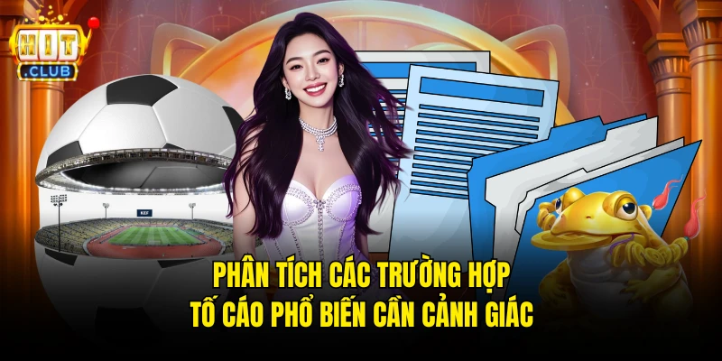 Phân tích các trường hợp tố cáo phổ biến cần cảnh giác