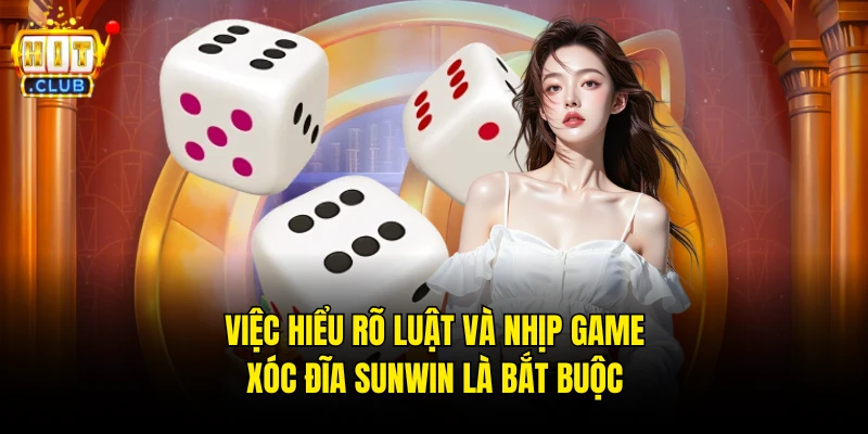 Việc hiểu rõ luật và nhịp game Xóc đĩa Sunwin là bắt buộc